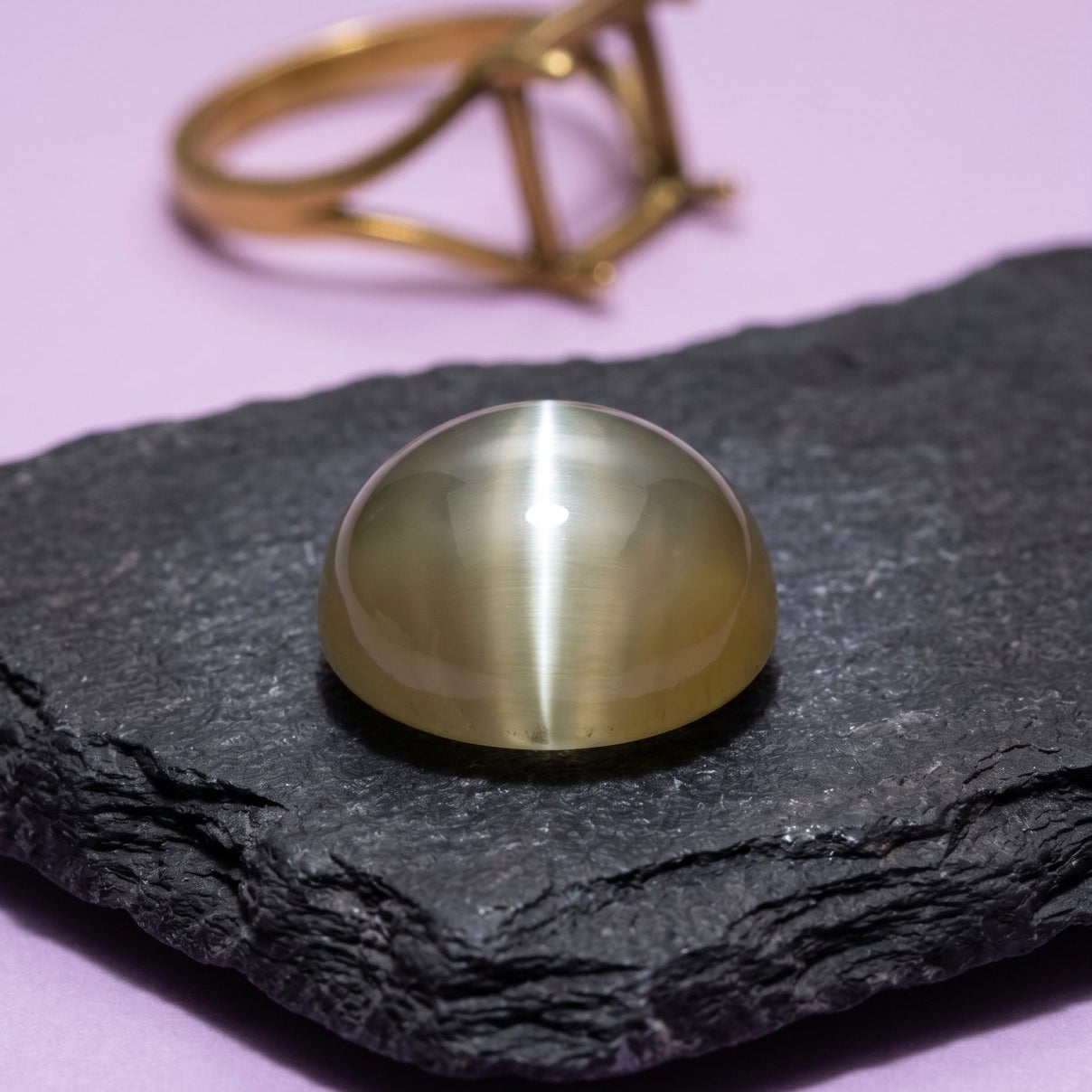 Lehsunia — Cat's Eye